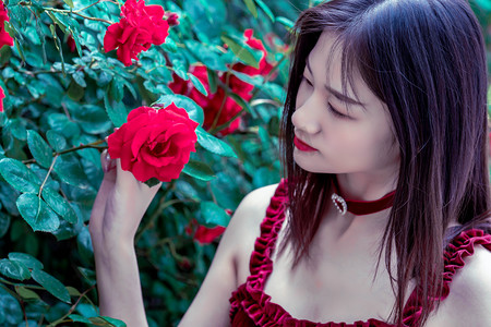 2025年香港文凭试放榜 考生报读专业较以往更多元